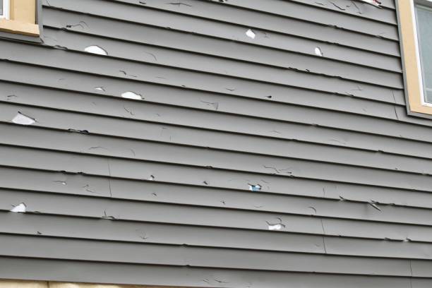 Best Storm Damage Siding Repair  in Pine Ridge At Crestwood, NJ